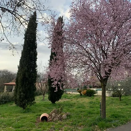 Oltre La Siepe Apartment Nepi Exterior foto