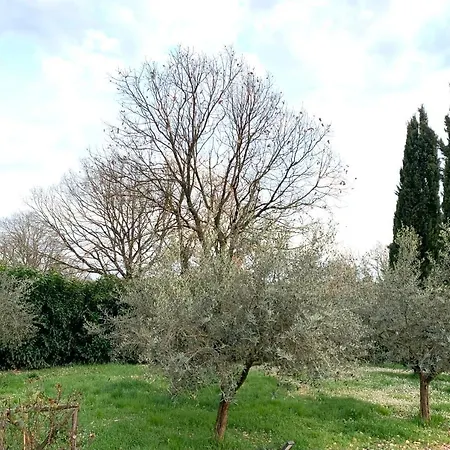 Oltre La Siepe Apartment Nepi Exterior foto