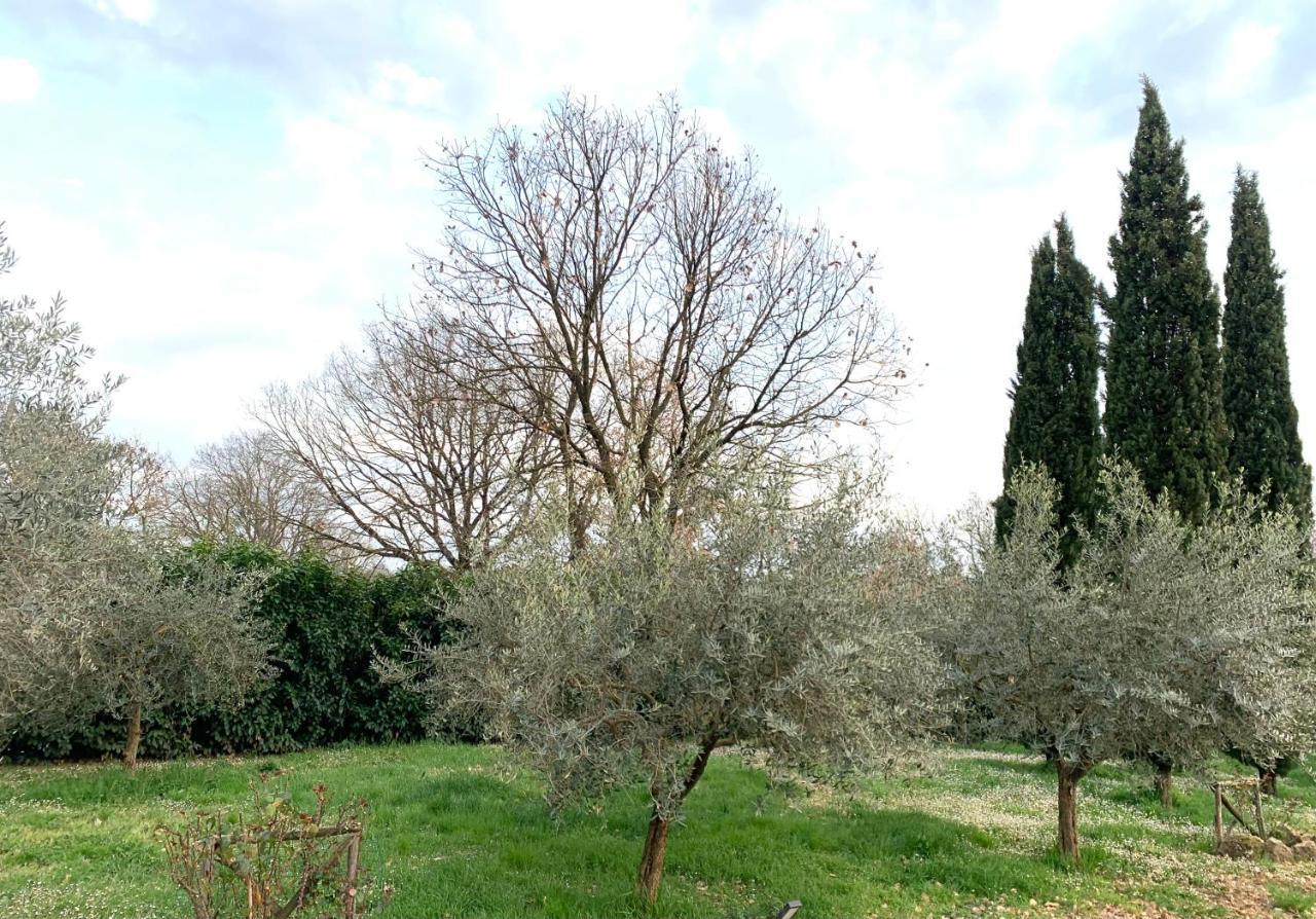 Oltre La Siepe *