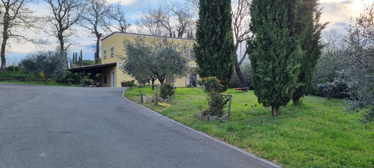 Oltre La Siepe * Nepi